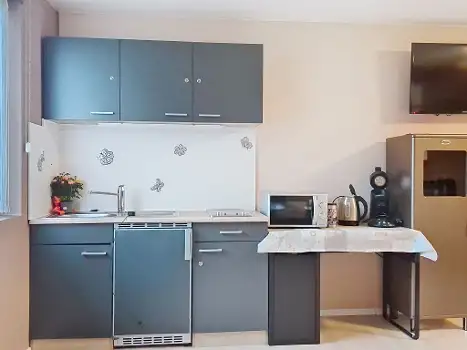AT4163.1.8