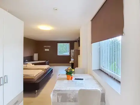 AT4163.1.8