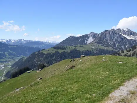CH3775.873.1