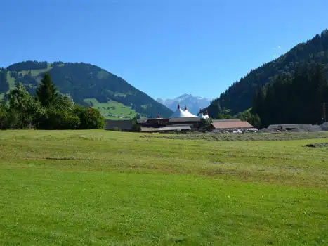 CH3780.683.1