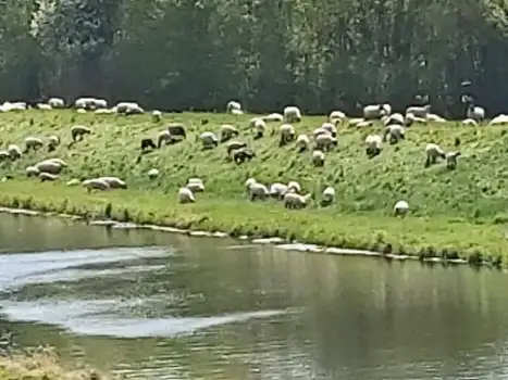 DE3137.602.1