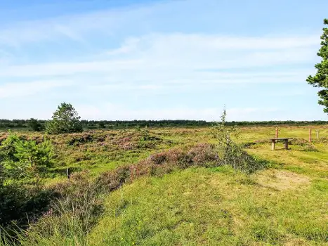DK6792.704.1