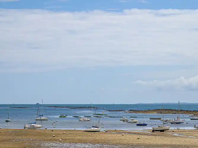 FR2615.110.1