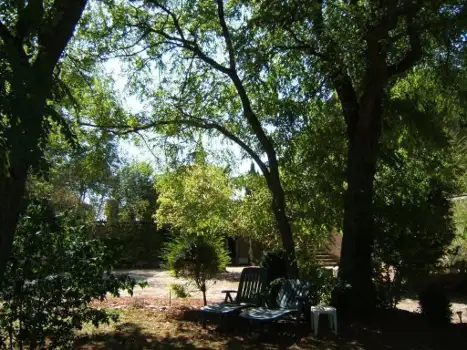FR3699.601.1