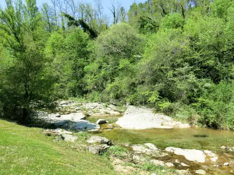 FR4663.603.1