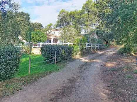 FR8410.650.1