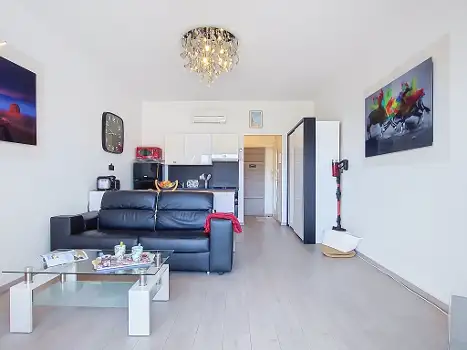 FR8480.213.1