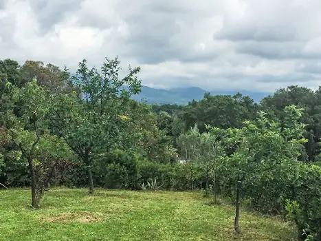 FR9228.645.1