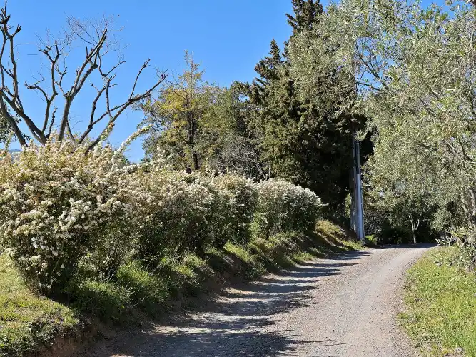 FR9229.633.1