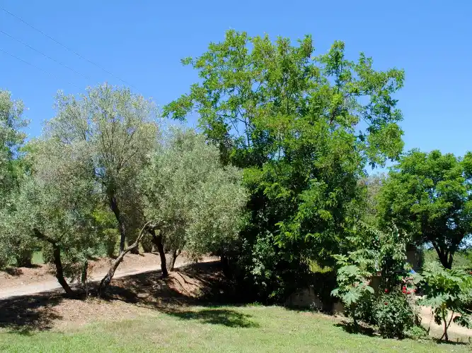FR9229.646.1