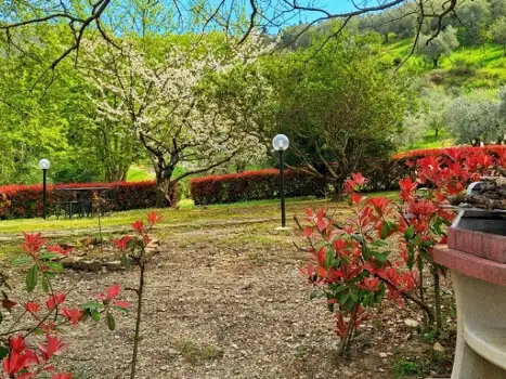 IT5253.647.1