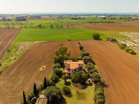 IT5626.648.1