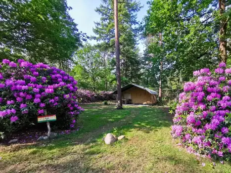 NL7451.607.1