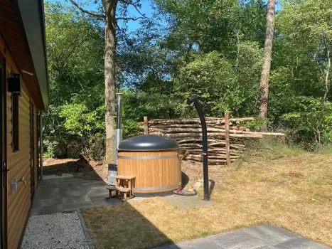 NL7963.629.1